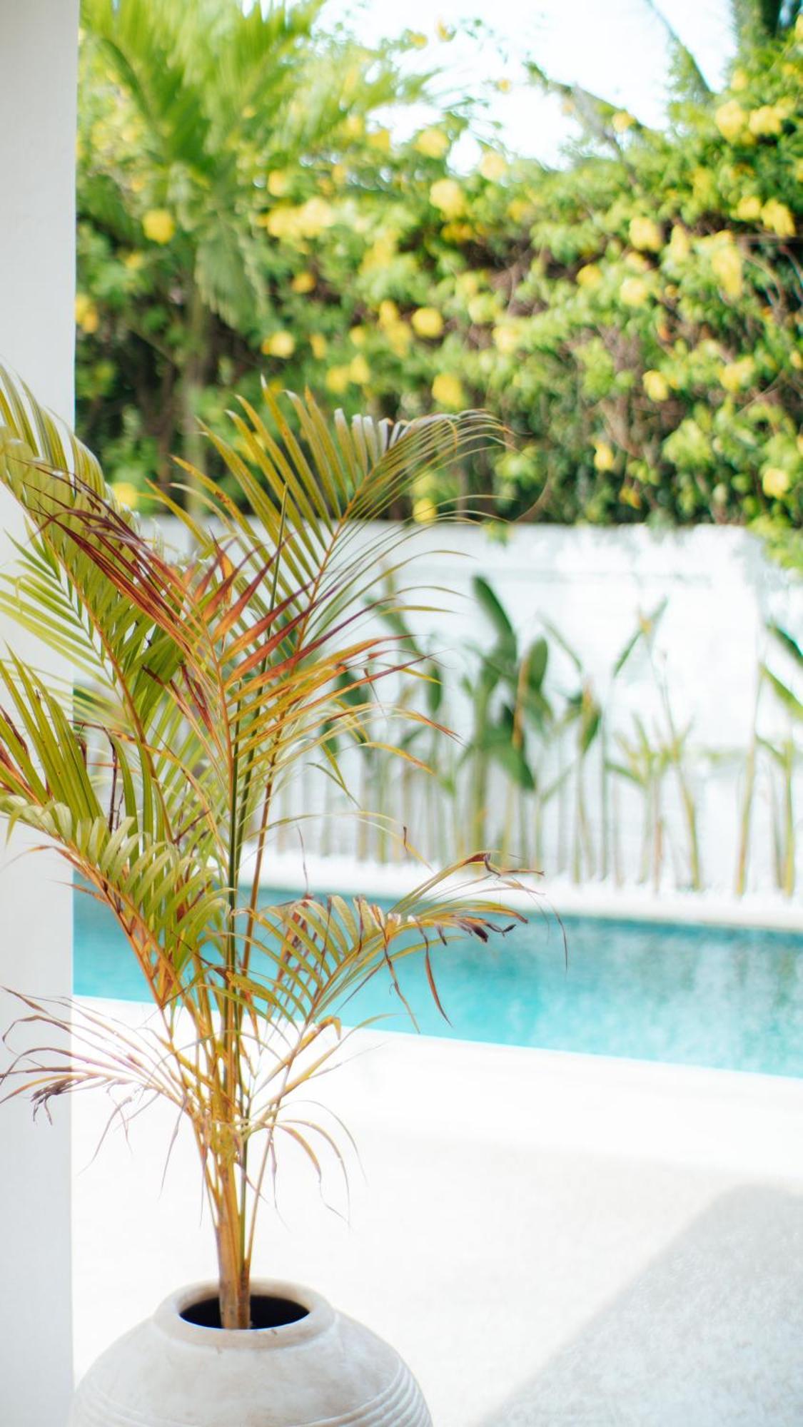 The White Bay Lombok Apartment Kuta  ภายนอก รูปภาพ